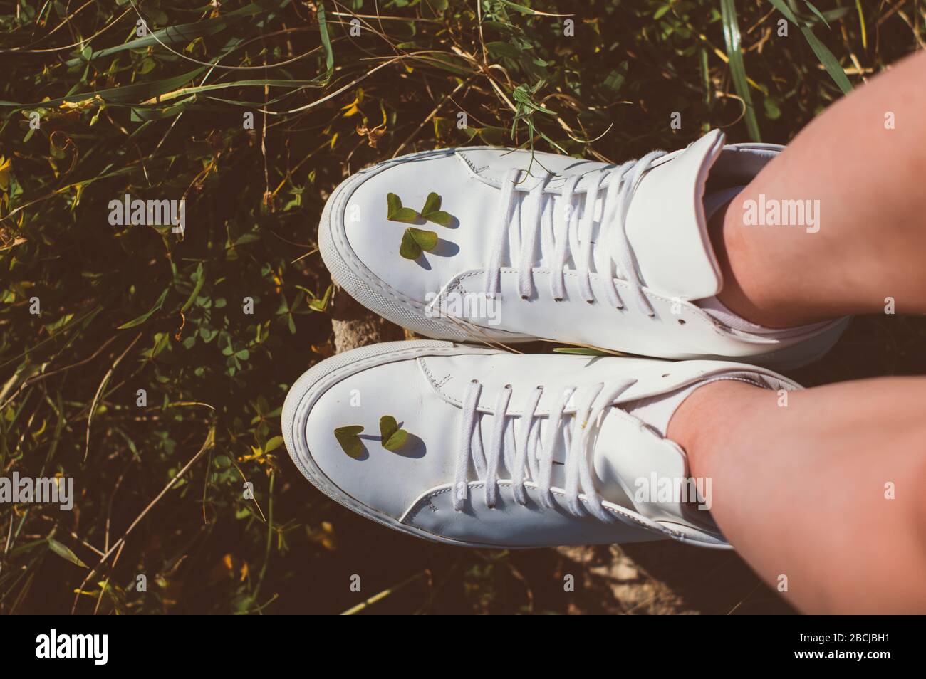 Kleeblatt auf weißen Schuhen, Natur Stockfoto