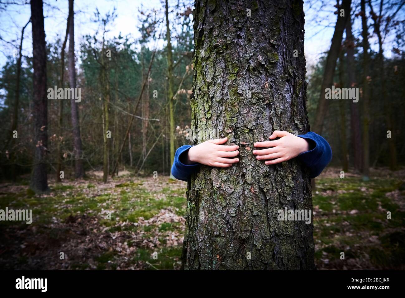 Kindermädchen stehen hinten und umarmen Baum im Wald. Daumen hoch Stockfoto