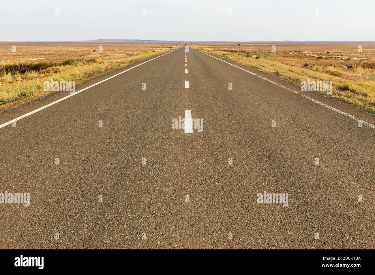 Asphaltstraße in der Steppe Kasachstans, Region Aktobe Stockfoto