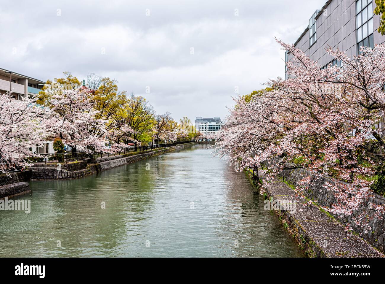 Kirschblüte im Frühling entlang des Okazaki-Kanals, Kyoto, Japan im Frühling mit Wohnhäusern im Regen am Biwa-See Stockfoto