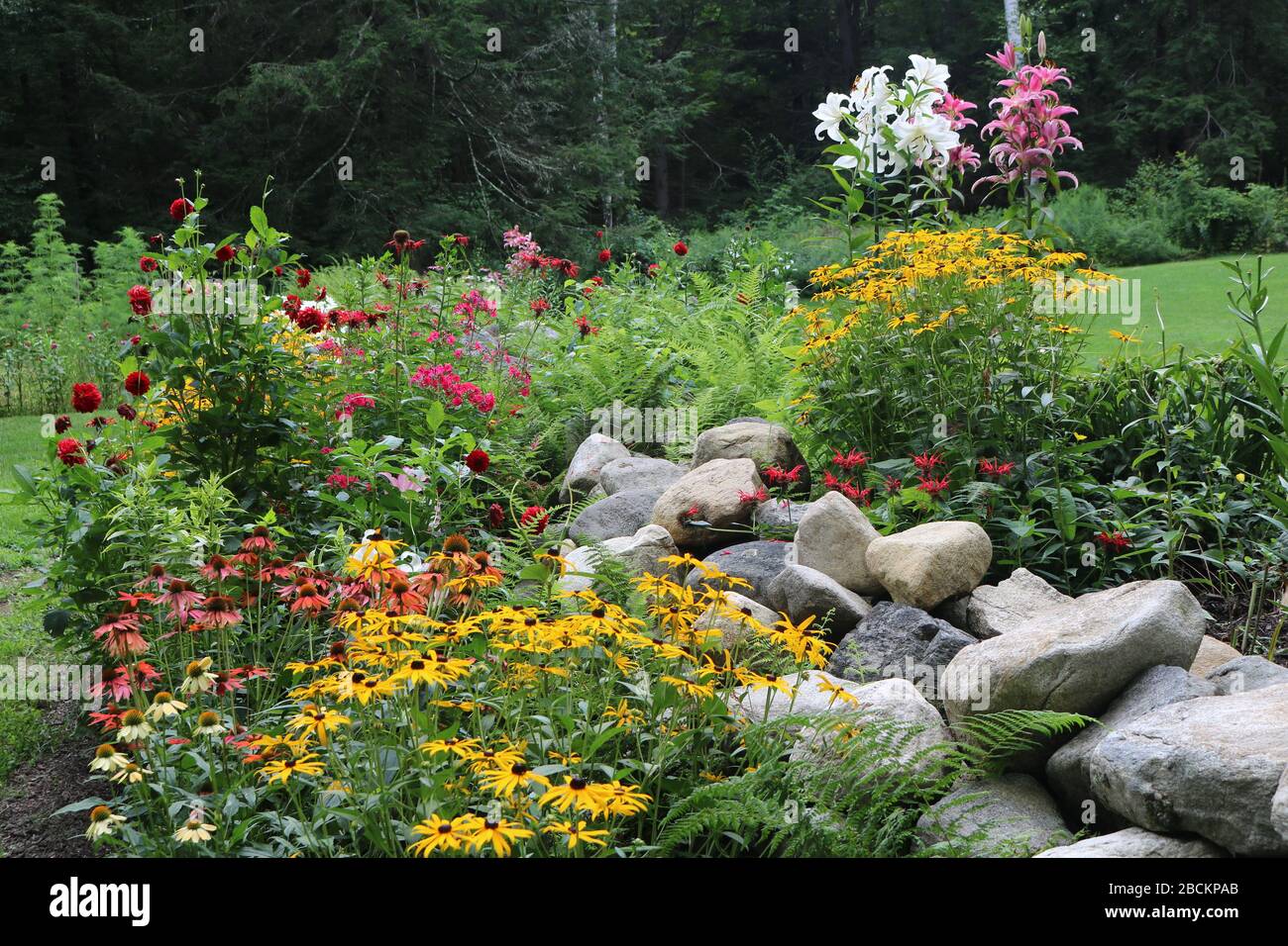 Farbenfroher Blumengarten mit Steinwand, darunter Rudbeckia, Flox, Lilien und Dahlien. Stockfoto