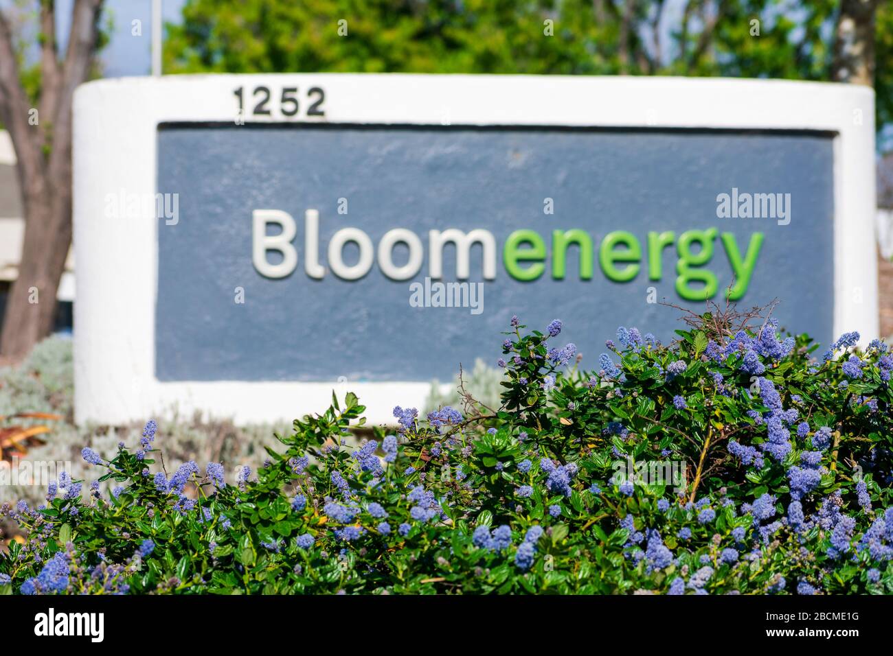 Verschwommene Bloom-Energie-Zeichen in blühender Landschaft am Hauptsitz im Silicon Valley. Das Unternehmen produziert und vermarktet feste Oxidbrennstoffzellen, die produzieren Stockfoto