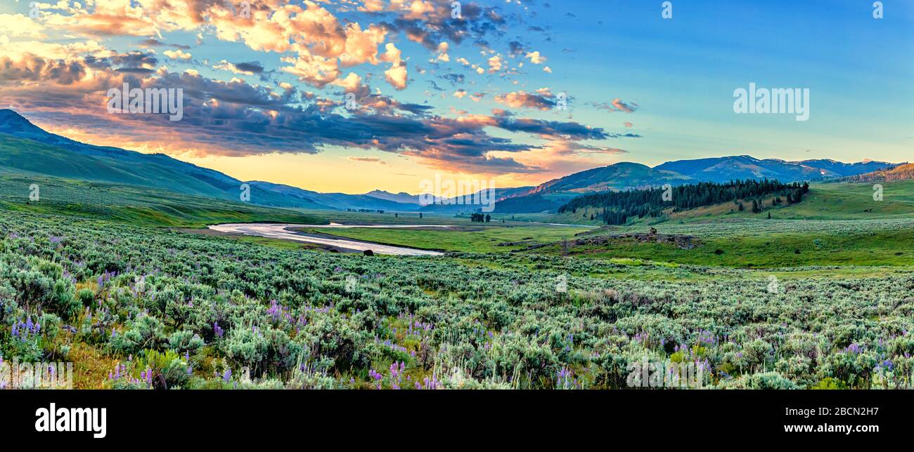 Die Sonne geht über das Lamar Valley nahe dem Nordosteingang des Yellowstone National Park in Wyoming auf. Stockfoto