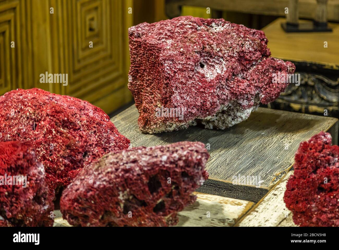 MODENA (MO), ITALIEN - 15. FEBRUAR 2019: Sonnenlicht ist aufschlussreich an ungewöhnlichen Oldtimer-Kunstwerken, die von Antiquitätenhändlern auf der Petra Messe zum Verkauf angeboten werden Stockfoto