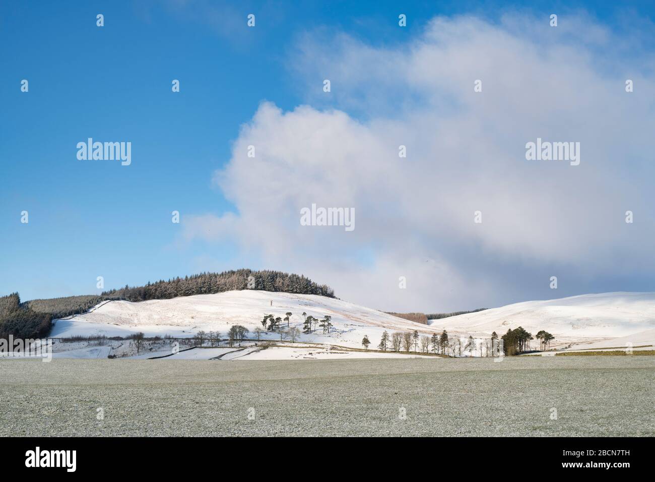 Schneebedeckte Landschaft. Schottische Grenzen. Schottland Stockfoto