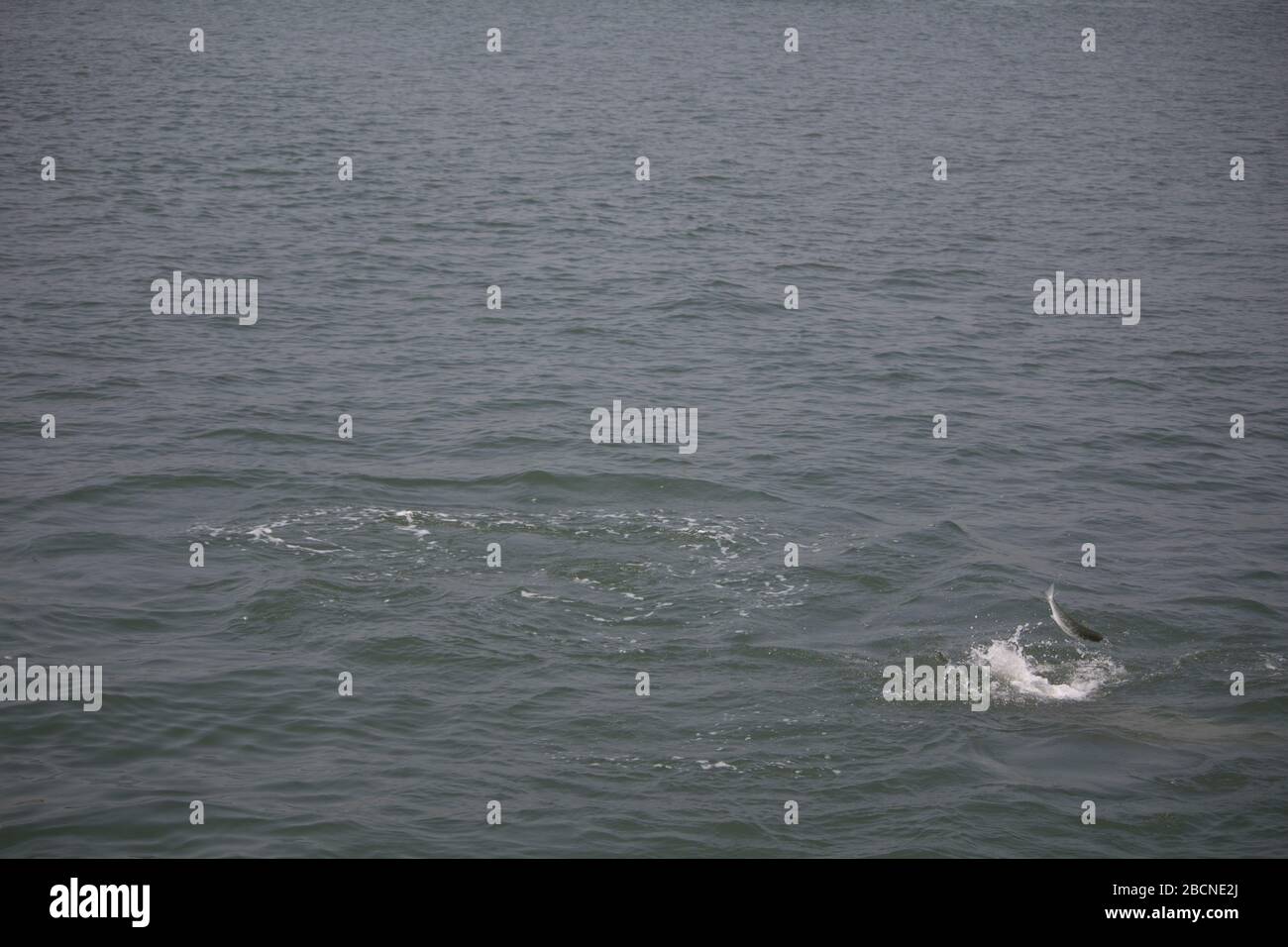Glück kommt in Wellen Stockfoto