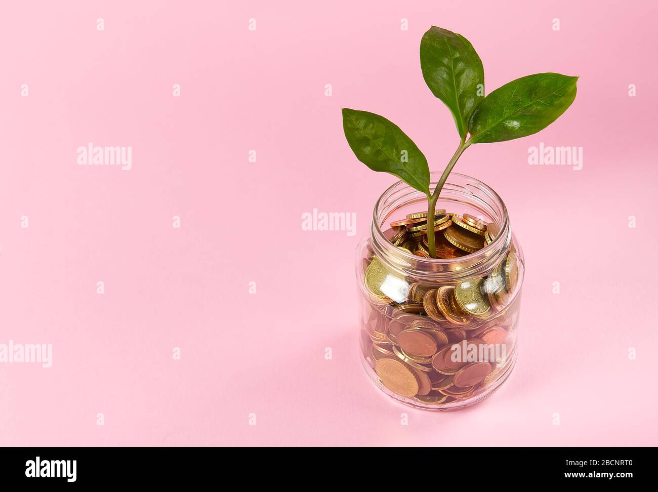 Münzen im Glasgefäß. Geldwachstum Investitionskonzept. Geld sparen und sich um die guten Menschen des Planeten kümmern. Auf rosa Hintergrund. Stockfoto
