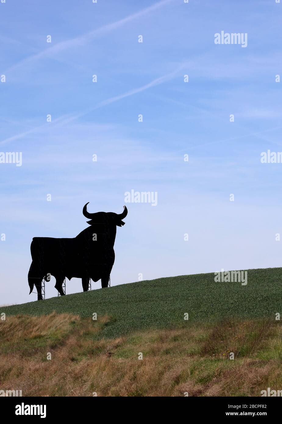Bulle Spanischer Toro de Osborne schwarzer Bulle, traditionell auf einem Hügel. Inoffizielles Symbol von Spanien. Geschützte Brandy Anzeige Symbol.Wahrzeichen. Hochformat. Stockfoto
