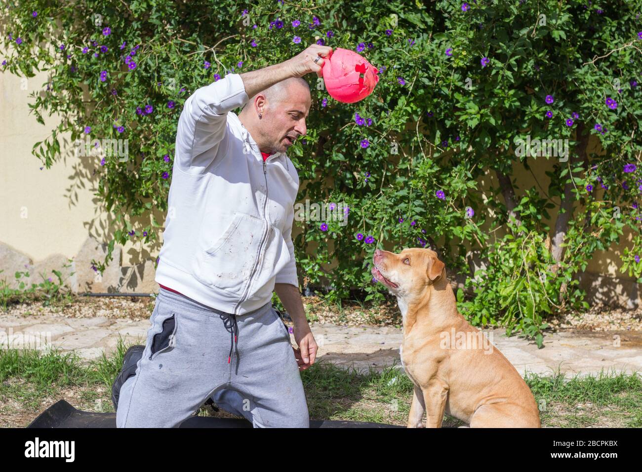 Mann, der mit Hund im Freien im Garten spielt Stockfoto