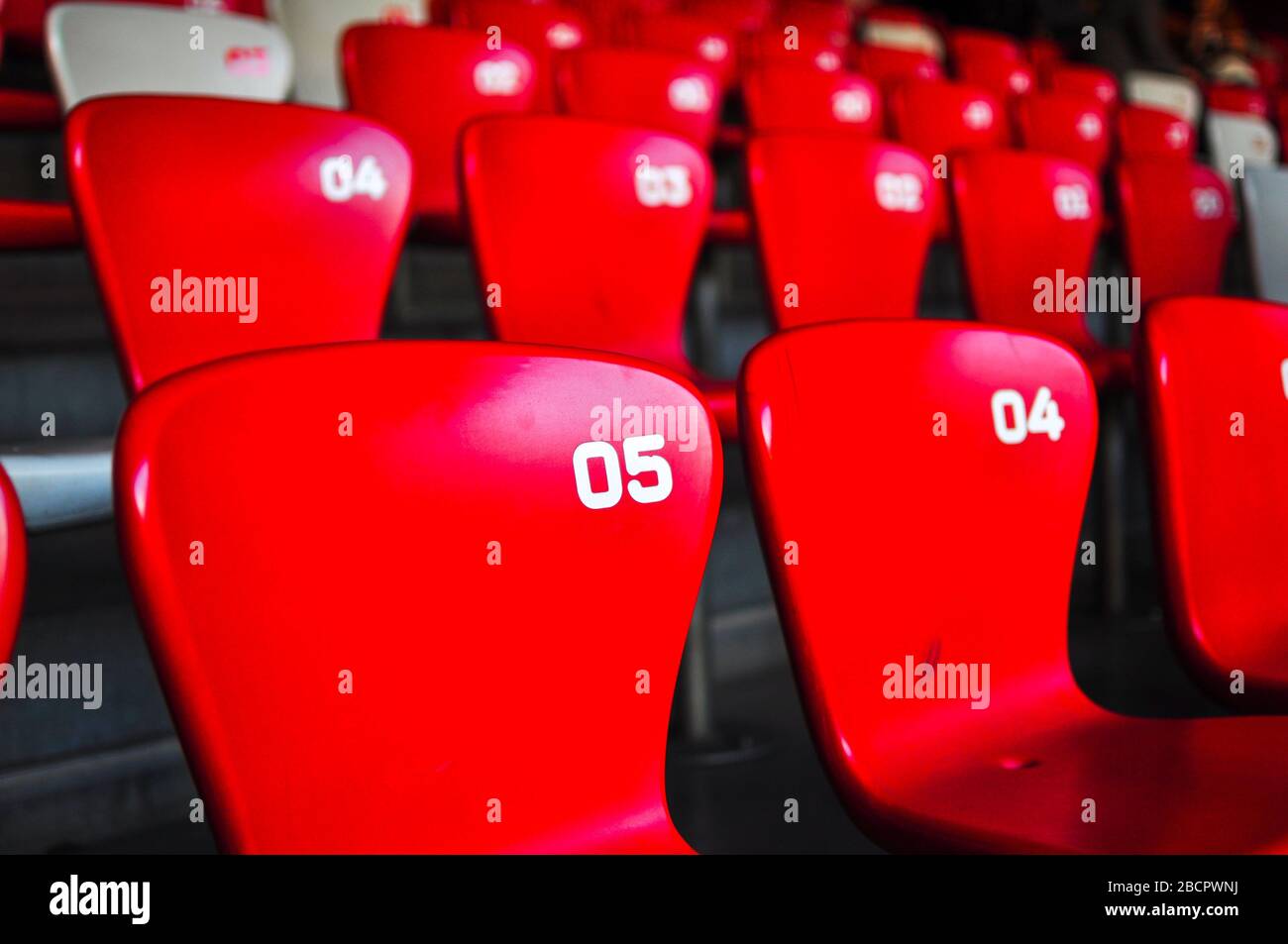 Reihen von Kunststoffsitzen in einem Sportstadion. Die Sitze sind rot-weiß. Stockfoto