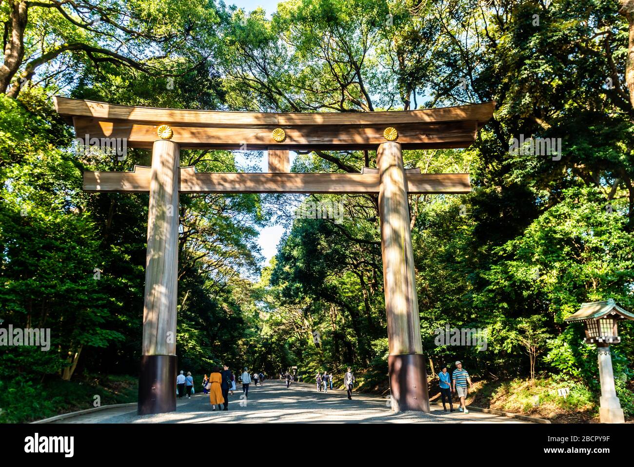 Tokio, Japan: 23. Oktober 2019: Meiji Jingu-Schrein in Shibuya Stockfoto