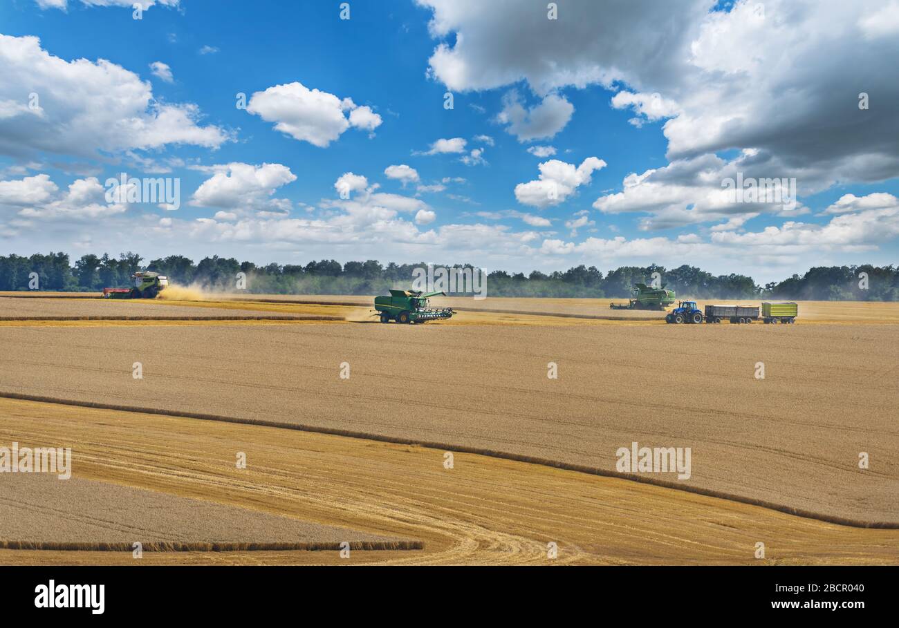 Dobrich, Bulgarien - Juli 07. 2019: Moderne John Deere-Mähdrescher ernten Getreide auf dem Feld in der Nähe der Stadt Dobrich, Bulgarien 07. Juli 2019 Stockfoto