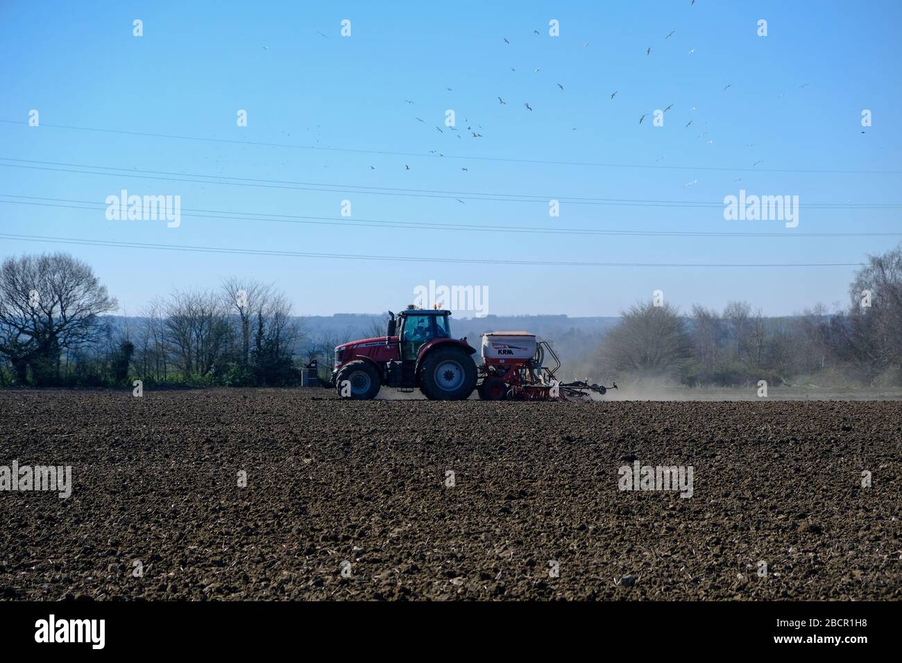 Traktor, der eine Eselung durch ein gepflüpftes Feld zieht, das für das Aussaaten von Getreide bereit ist, Kent, Großbritannien Stockfoto