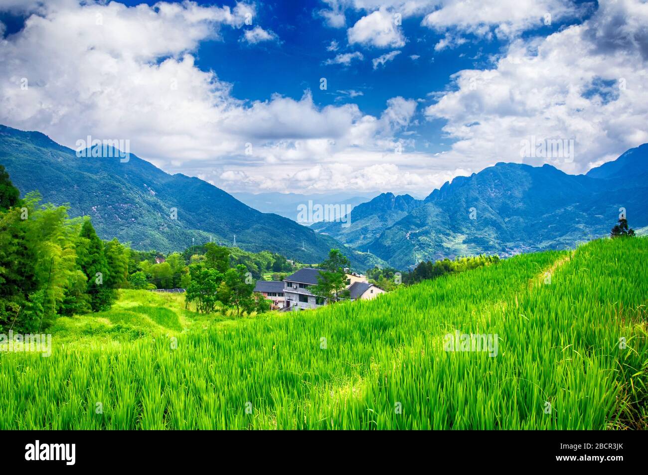 Die dramatische Landschaft der Yunhe Wolke Rice Terraces im Sommer in der Provinz Zhejiang an einem sonnigen Tag. Stockfoto