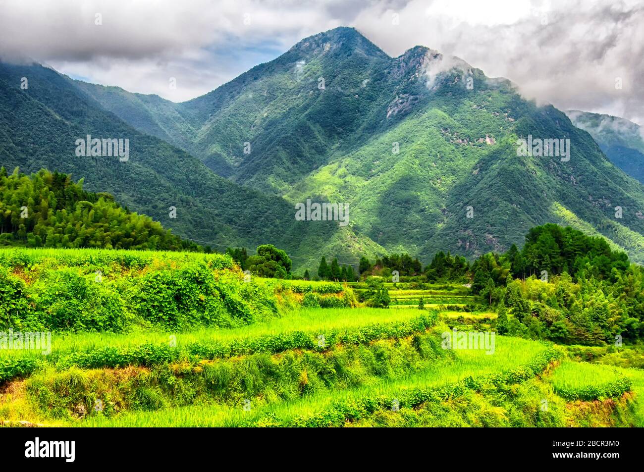 Die dramatische Landschaft der Yunhe Wolke Rice Terraces im Sommer in der Provinz Zhejiang an einem sonnigen Tag. Stockfoto