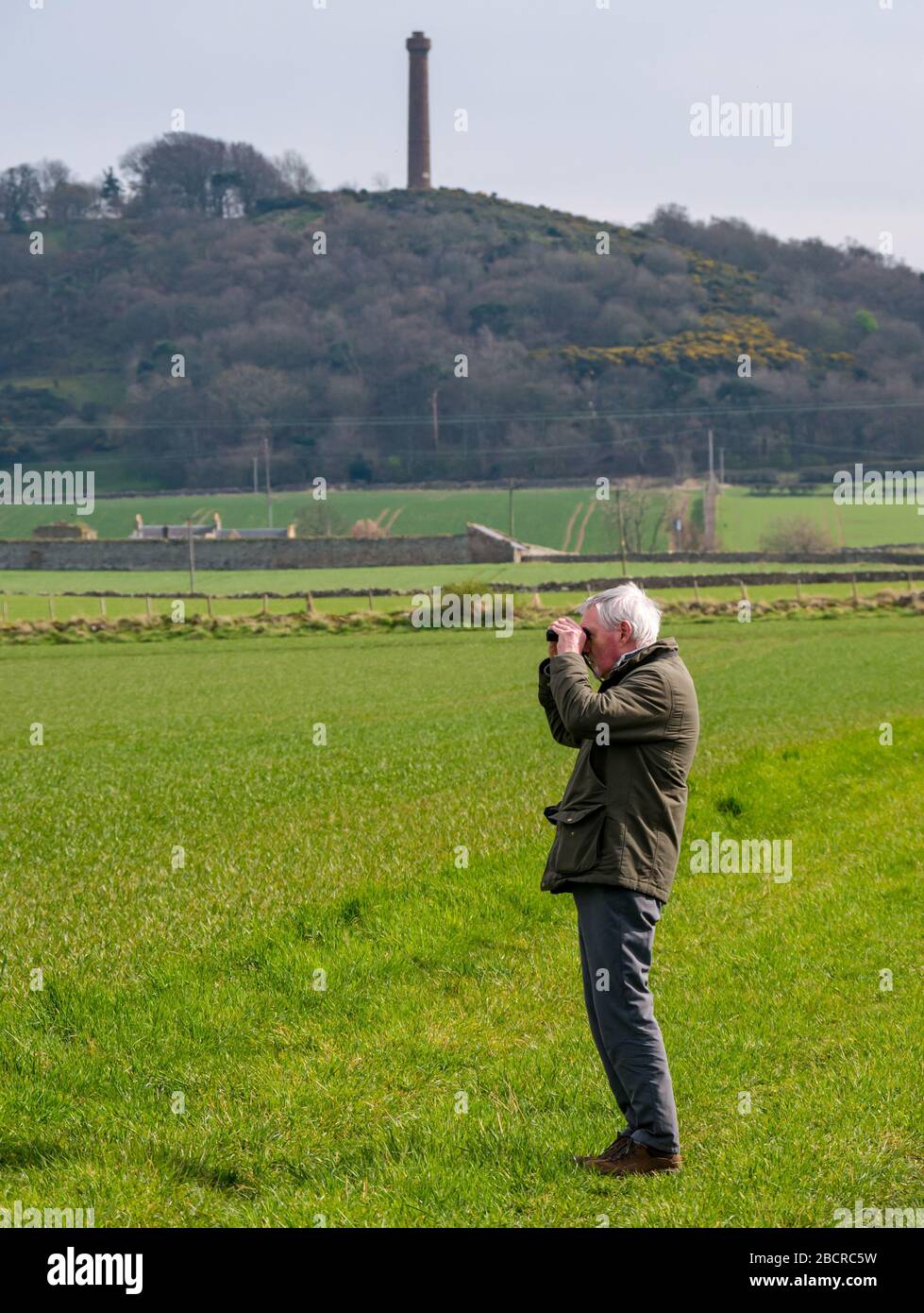 East Lothian, Schottland, Großbritannien. April 2020. Wetter im Vereinigten Königreich: Der Osten des Landes spürt endlich die Wärme des Sonnenscheins im Frühling, während die Menschen in der ländlichen Gegend täglich Sport treiben. Ein erfahrener Mann erzählt einen Spaziergang entlang der Feldränder, der Wildtiere durch Ferngläser sucht Stockfoto