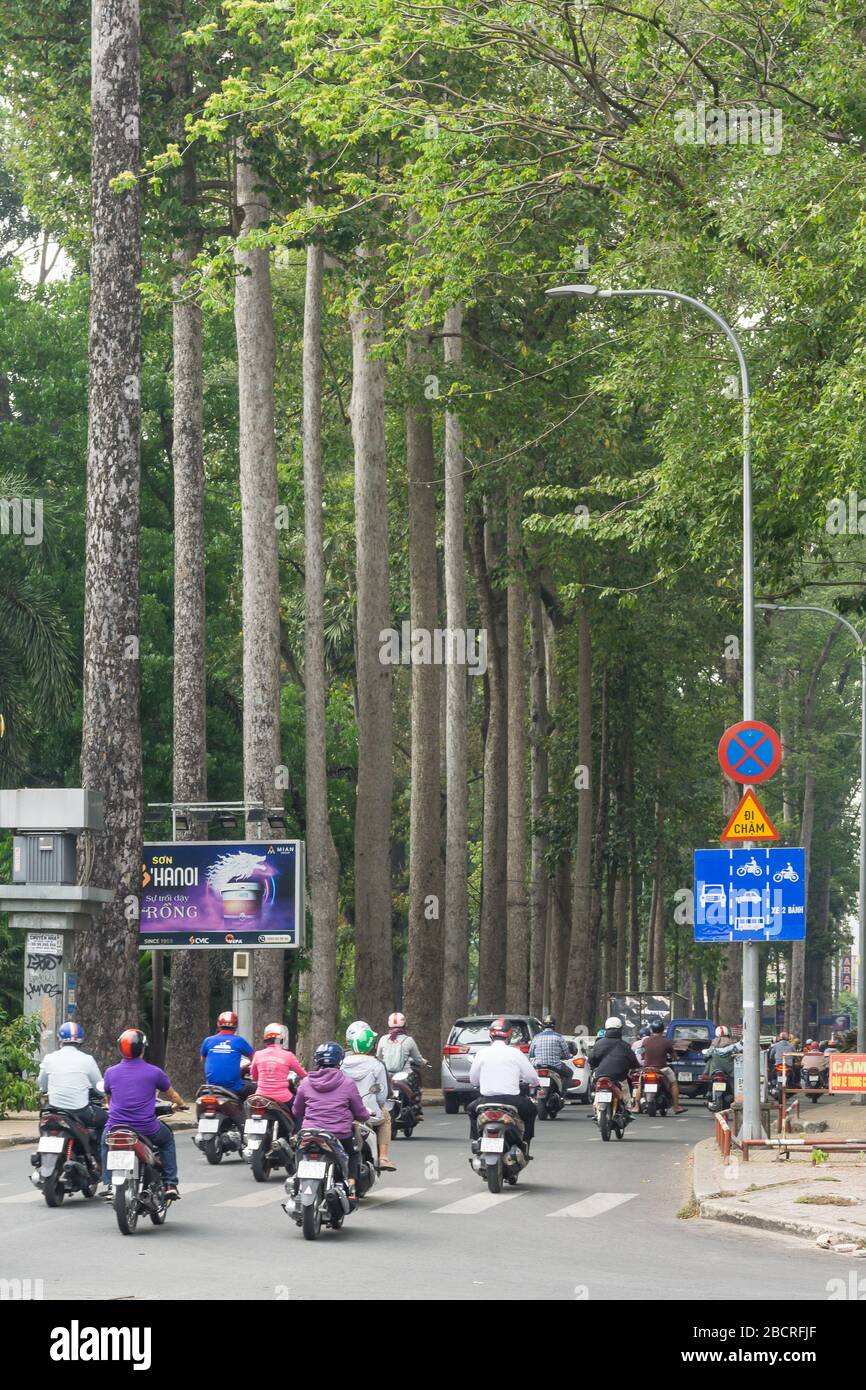 Ho-Chi-Minh-Stadt Vietnam - Cho-nau-Bäume entlang der Straße in Ho-Chi-Minh-Stadt. Stockfoto