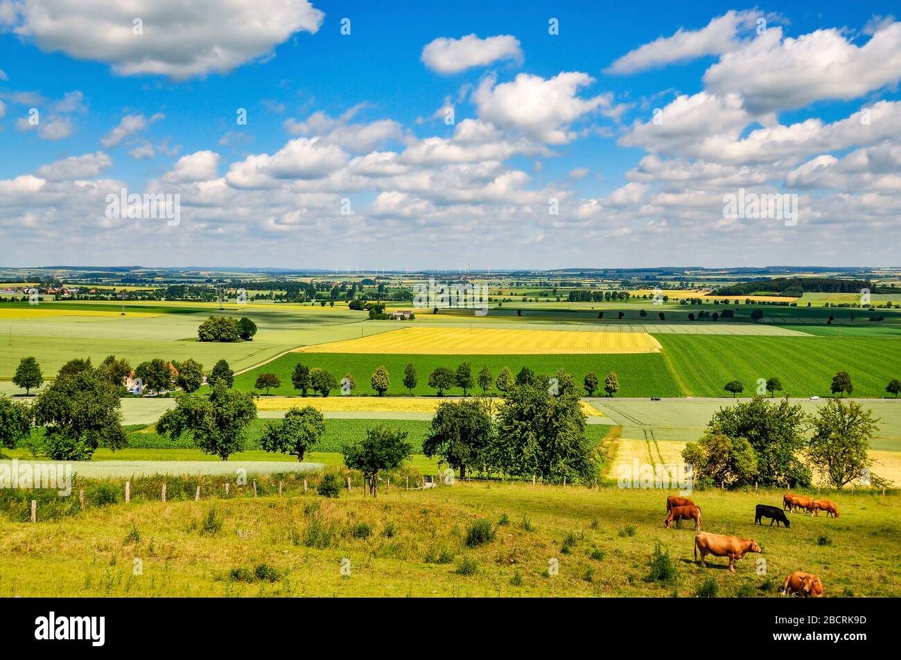 Panoramablick vom Desenberg über Kornfelder und Wiesen bei warburg Stockfoto