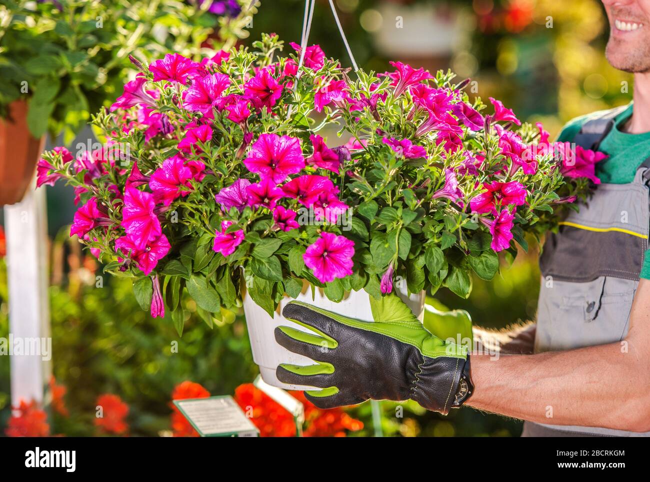 Kaukasier Small Business Owner, Die Blumen Blühen. Gartenindustrie Thema. Stockfoto