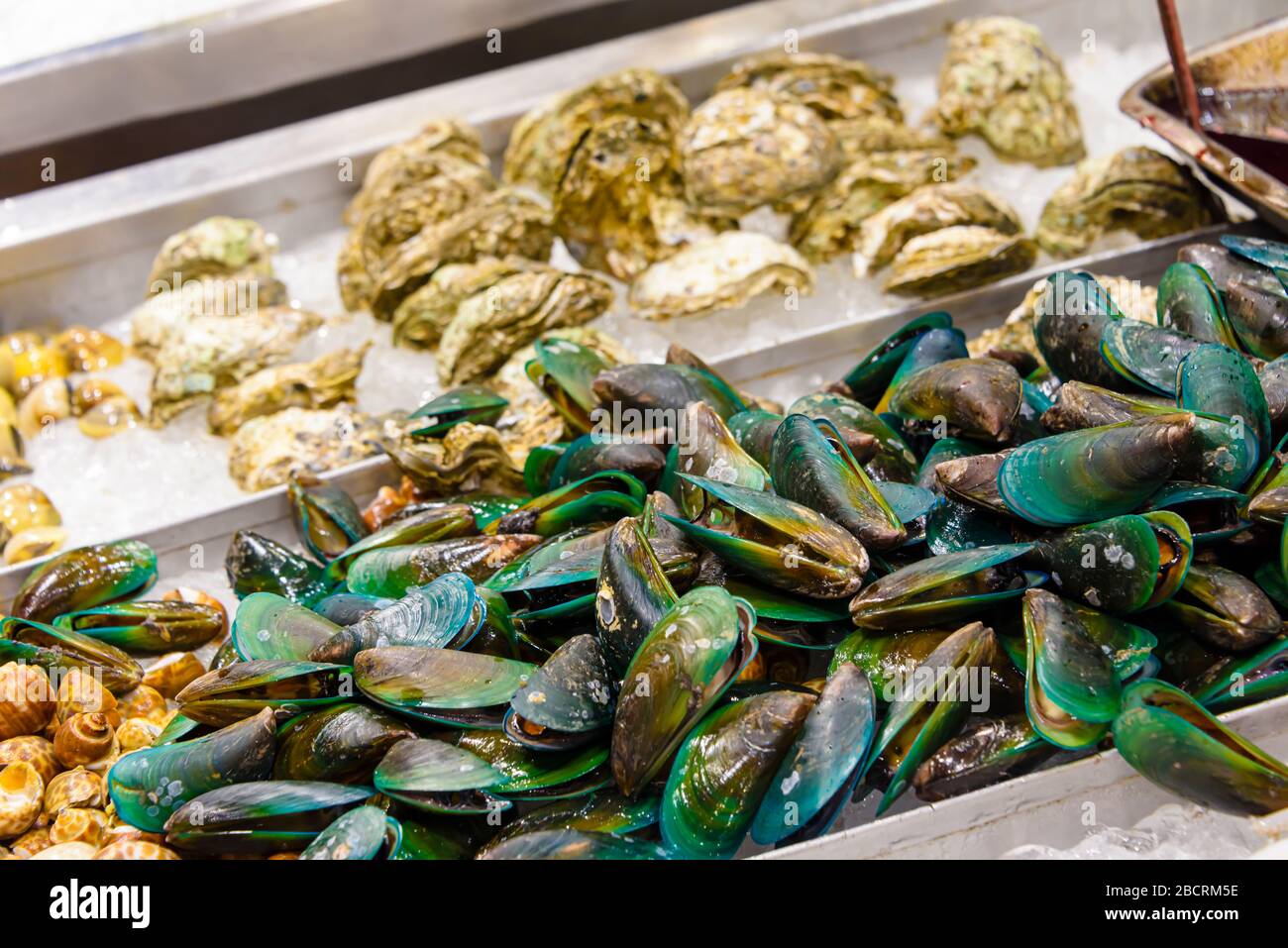 Grüne Lippen Muscheln und Austern zum Verkauf in einem Fischhändler nass Market Stall, Phuket, Thailand Stockfoto