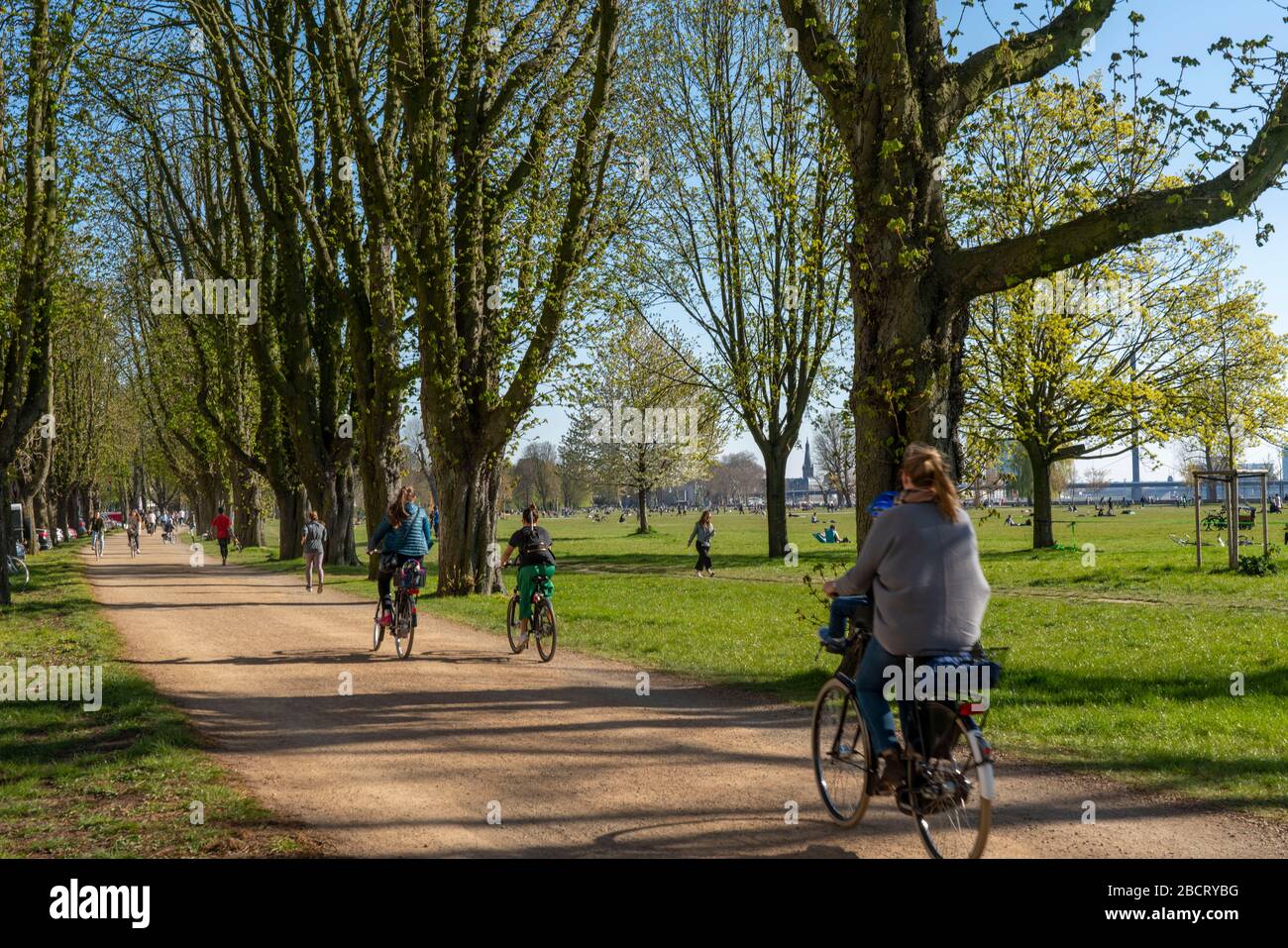 DŸsseldorf am Rhein während der Koronakrise werden die Kontaktverbote, das halten der Distanz, trotz vieler Wanderer in schöner Spr, meist eingehalten Stockfoto