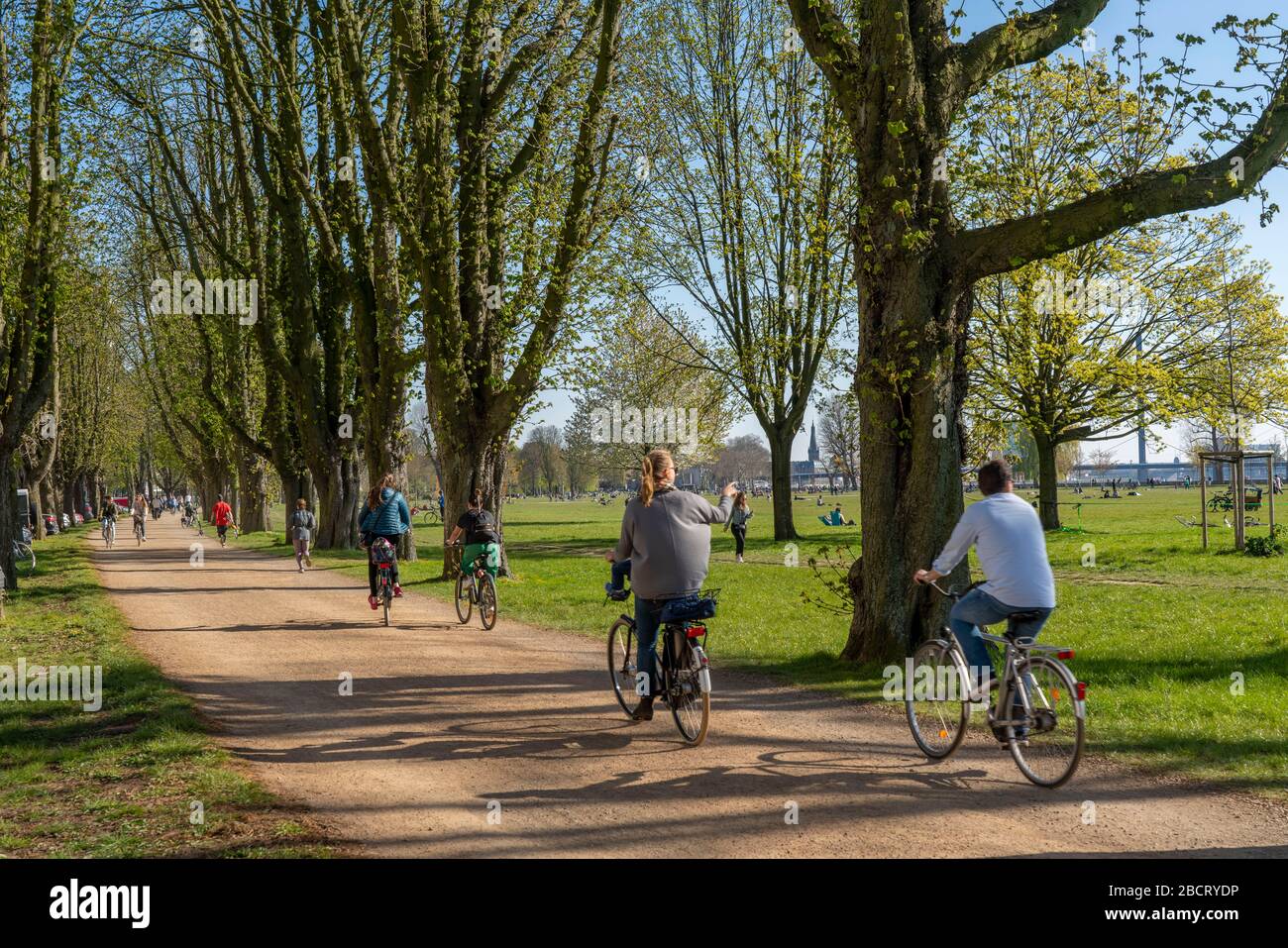 DŸsseldorf am Rhein während der Koronakrise werden die Kontaktverbote, das halten der Distanz, trotz vieler Wanderer in schöner Spr, meist eingehalten Stockfoto