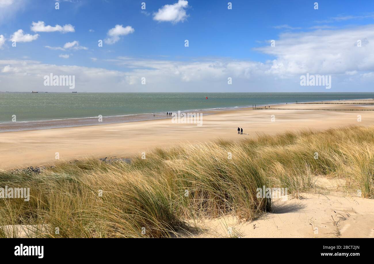 Schöner Nordseestrand am sonnigen Tag, Vlissingen, Niederlande Stockfoto