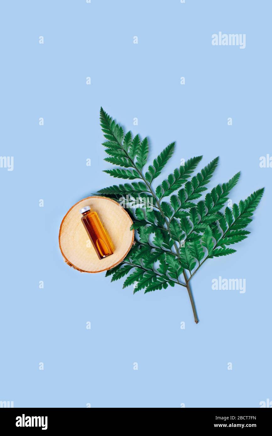 Bioprodukt aus biologischem Anbau Eine leere Flasche mit Hautpflegetinte befindet sich auf der holztrey auf dem grünen Blatt. Blauer Hintergrund. Stockfoto