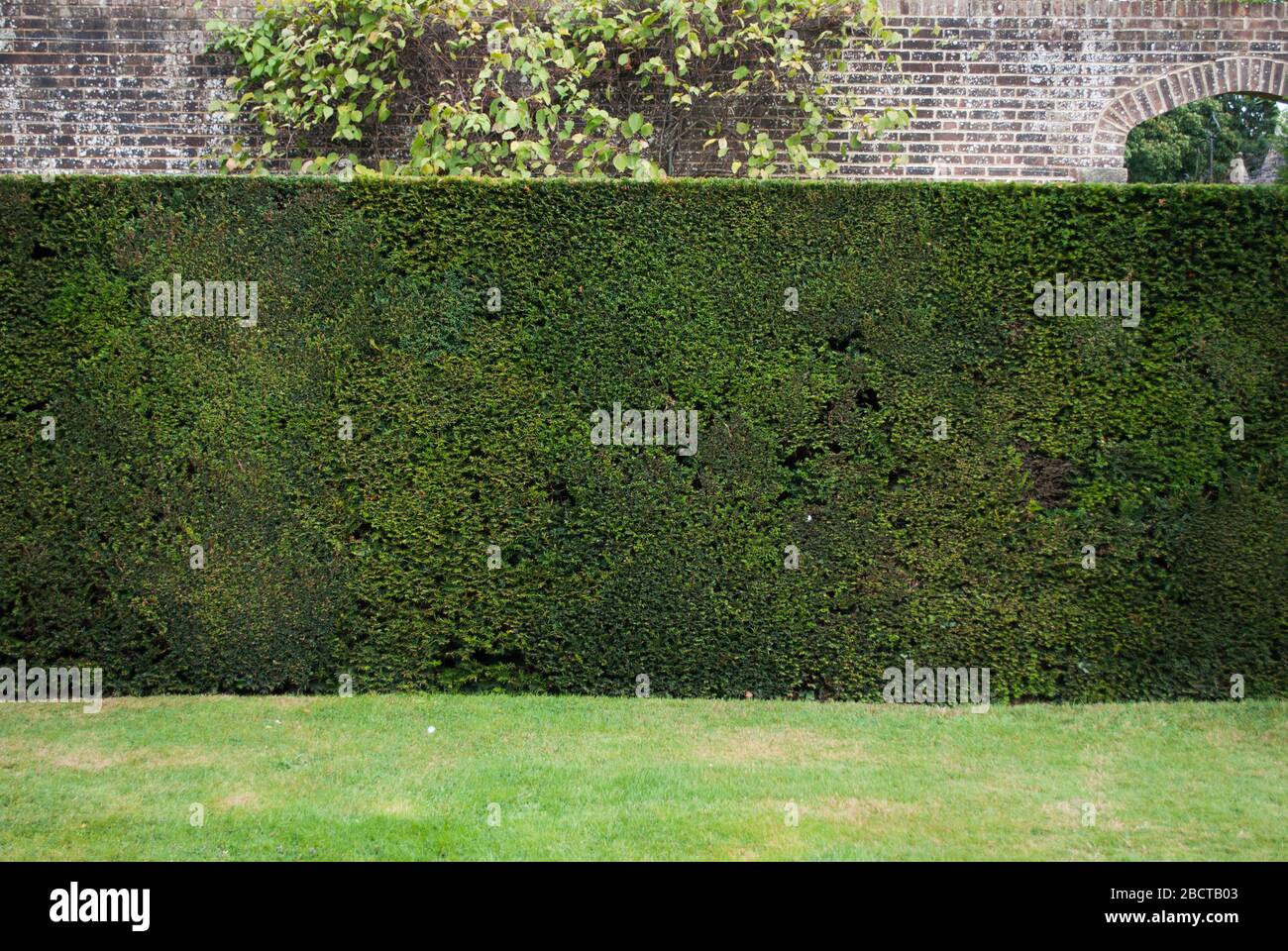 Wakehurst Place formal English Garden Zat Kew Royal Botanic Gardens, Ardingly, Haywards Heath, Sussex, RH17 6TN Stockfoto