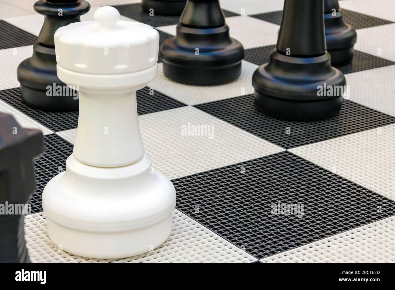 Ein Rook Stück in Erwartung des Umzugses durch Portierung schwarzer Stücke. Schachspiel. Gewinner-Konzept Stockfoto
