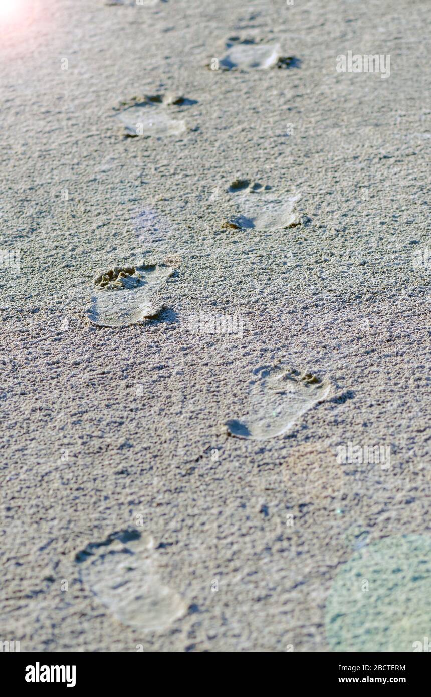 Weg zum Glück. Weg zum Erfolg. Schritte zum Ziel. Der Weg beginnt mit dem ersten Schritt. Konzept des Beginns eines neuen Lebens. Fußabdrücke auf nassen s Stockfoto
