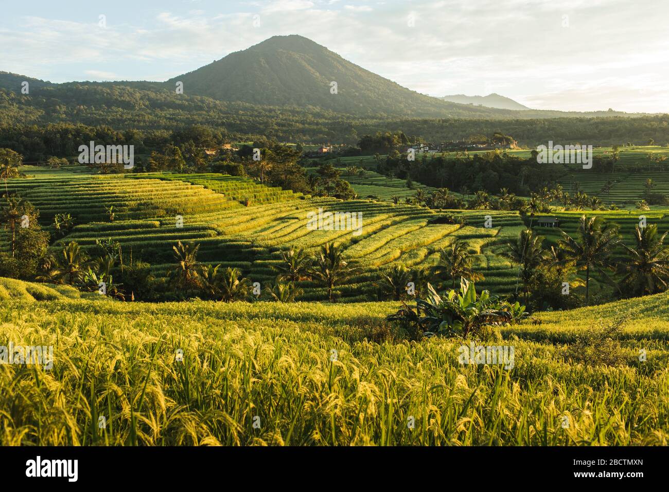 Berühmte Bali Wahrzeichen Jatiluwih Rice Terraces. Schöner Blick auf den Sonnenaufgang auf grüne Hügel und Berge am Horizont. Wanderlust Konzept und Naturhintergrund. Stockfoto