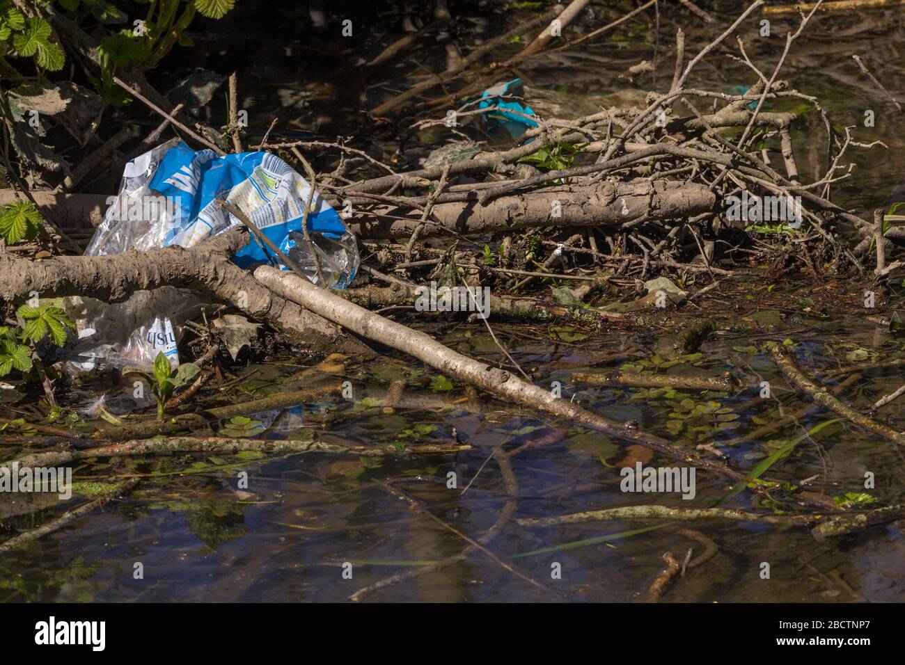 Wasserverschmutzung entsorgen Lebensmittelbehälter Plastikbrotverpackungen in einem Ententeich im örtlichen Park entsorgt. Gefahr für die Tierwelt von Feuchtgebieten und eine Augenweide Stockfoto
