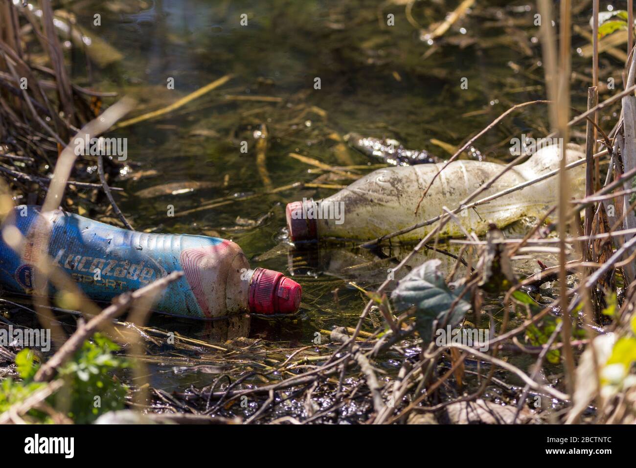 Wasserverschmutzung weggeworfene Lebensmittelbehälter zwei Plastikflaschen im Teichbereich Getränkebehälter Müll unrecycelter Kunststoff achtlos in Teich geworfen Stockfoto