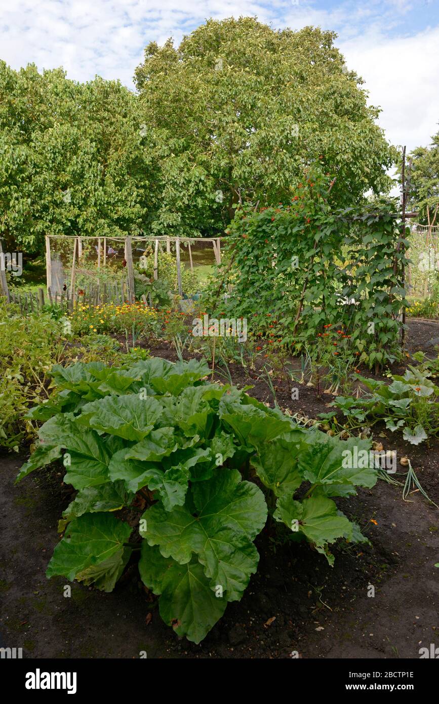 Blick auf den Gemüsegarten im Monk's House, einst das Zuhause von Virginia Woolf, Rodmell East Sussex, Großbritannien Stockfoto