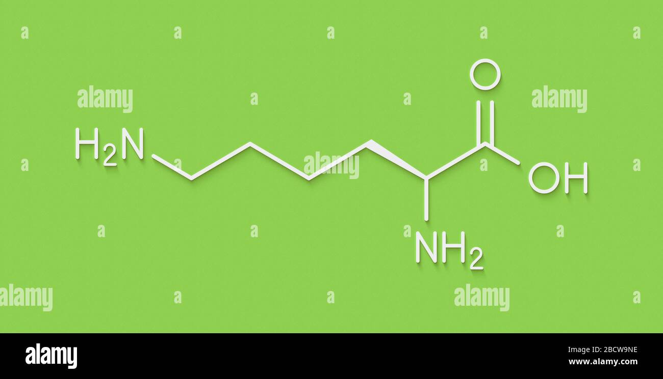 Lysin (L-Lysin, Lys, K) Aminosäure Molekül. Skelettmuskulatur Formel. Stockfoto