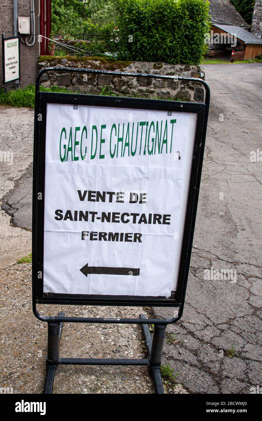 Käseverarbeitung und Reifung von Saint-Nectaire im Dorf Baune-le-Froid in der Auvergne, Frankreich Stockfoto