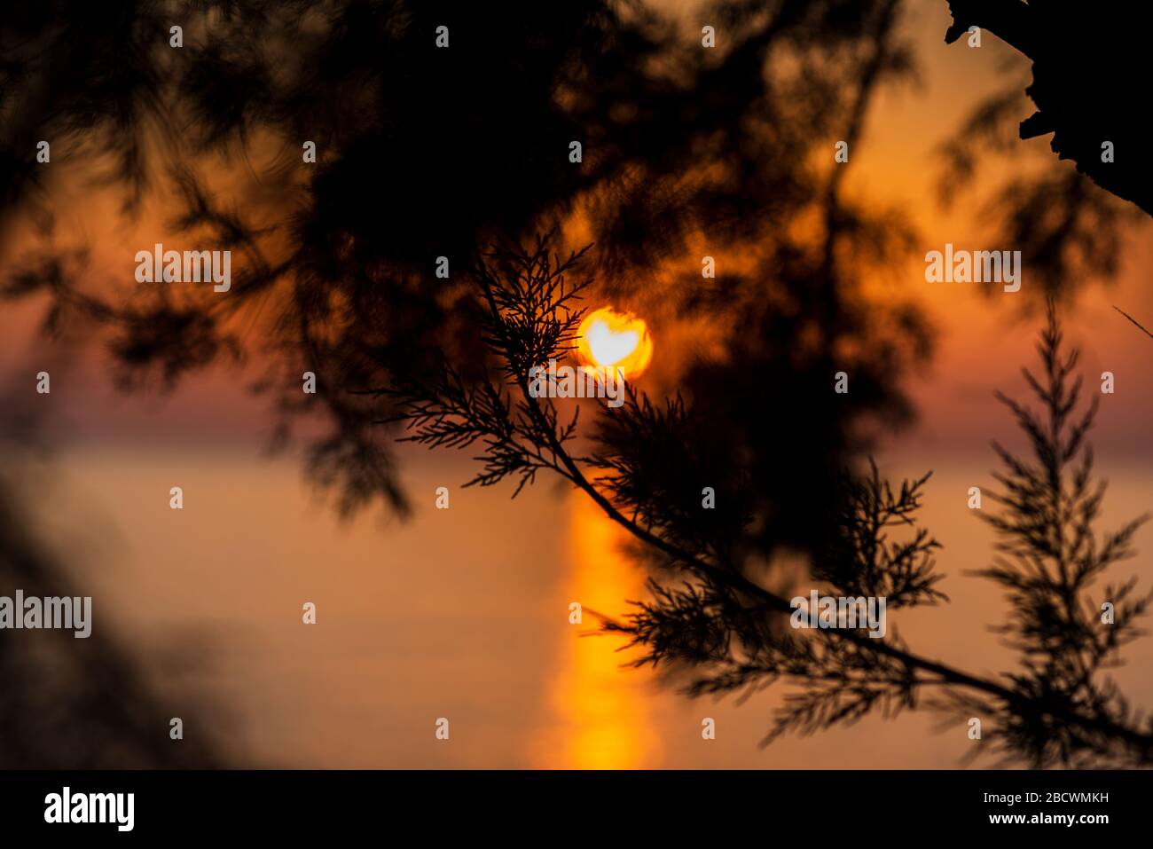 Verwischen Sie abstrakten Sonnenuntergang über dem Meer mit Sonne, Bäume Silhouette Licht Herz und den verschwommenen Hintergrund Stockfoto