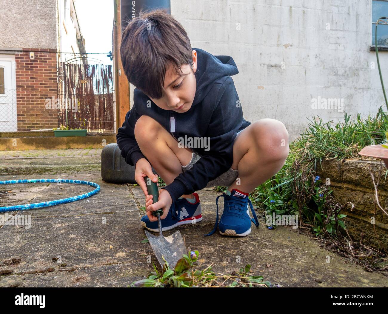 Ein kleiner Junge, der Unkraut mit einem Handzwirbel im Garten aufgräbt. Stockfoto