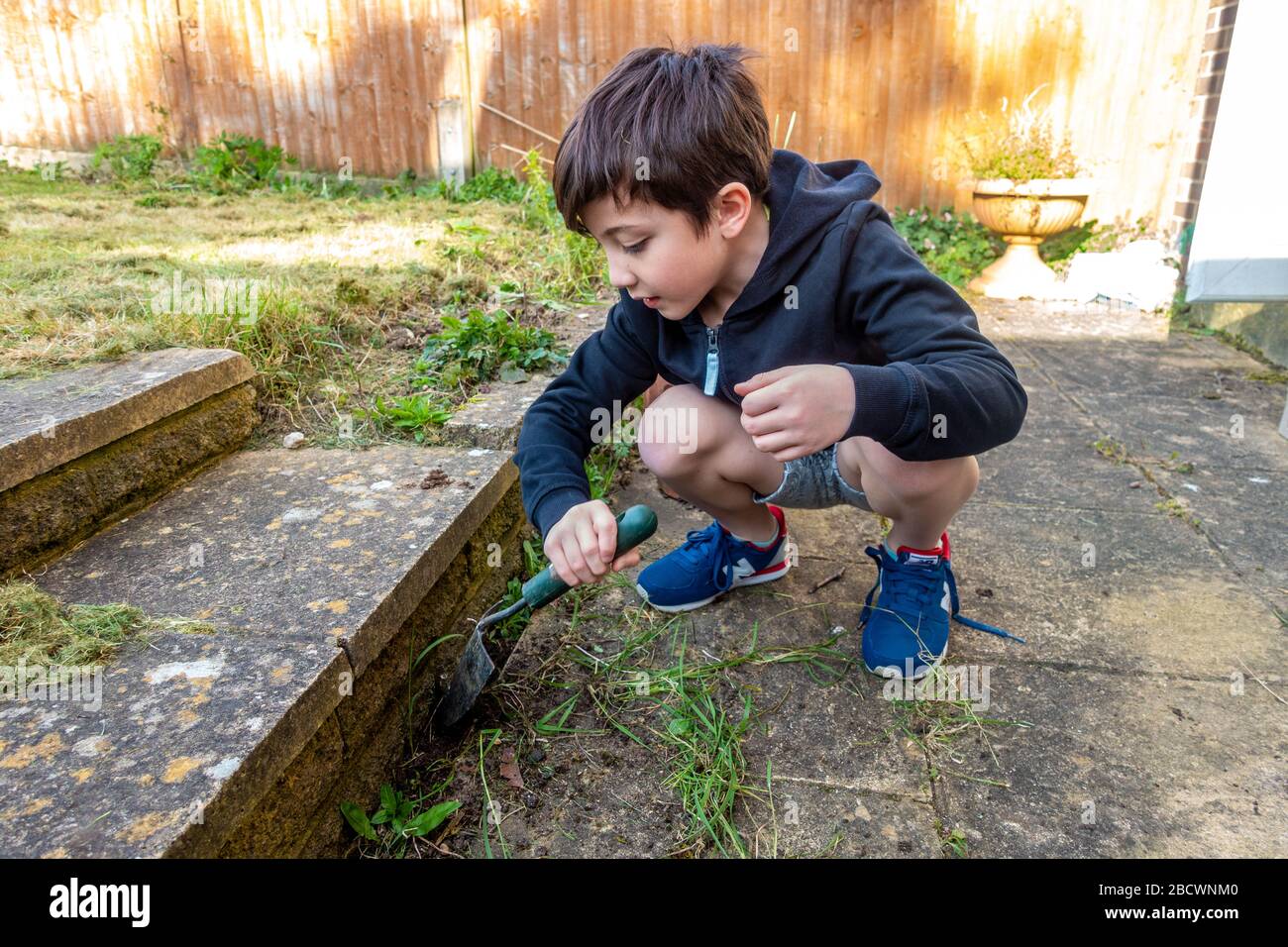 Ein kleiner Junge, der Unkraut mit einem Handzwirbel im Garten aufgräbt. Stockfoto