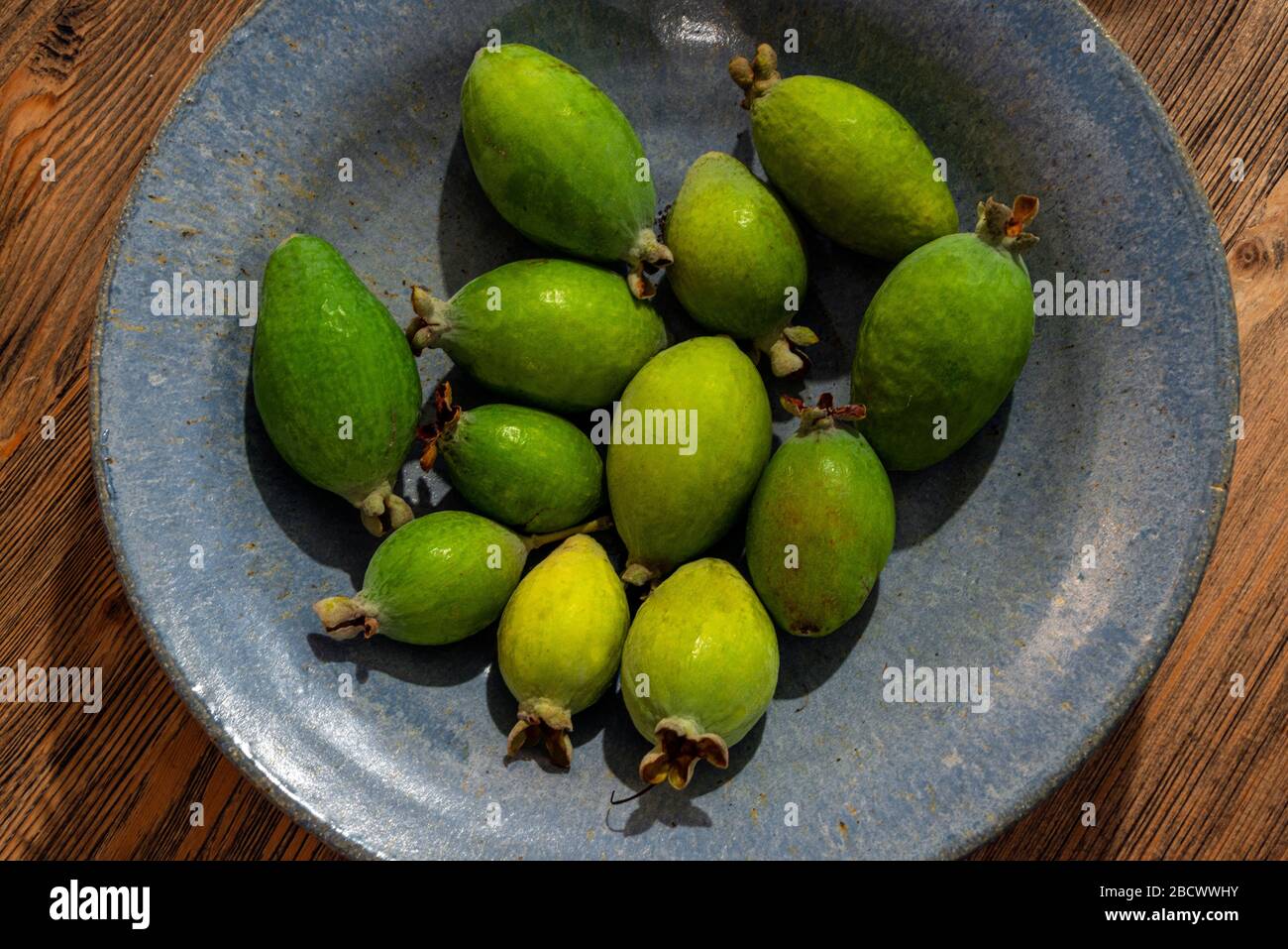 Vogelperspektive auf einen Teller grüner neuseeländischer Fiejoa tropischer exotischer Früchte. Stockfoto