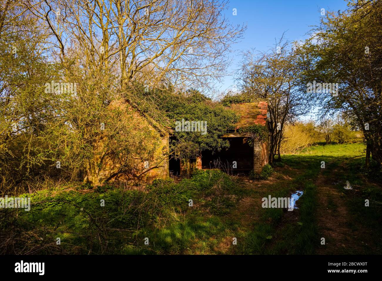 Verlassene Farm Building, Warwickshire, Großbritannien Stockfoto