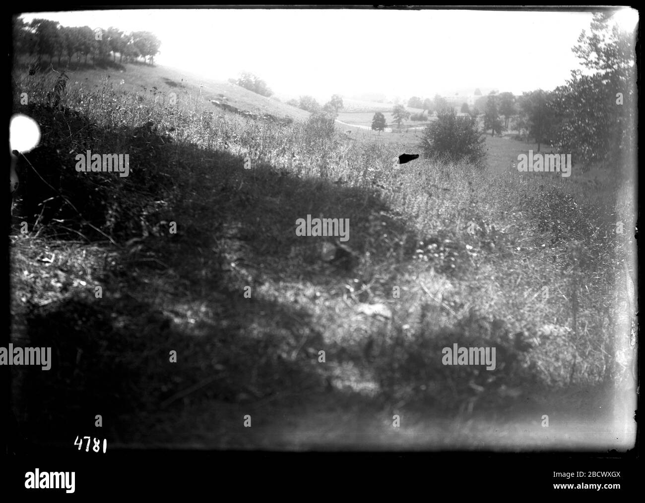 Nicht Identifizierter Bauernhof. Smithsonian Institution Archives, Acc. 11-006, Box 014, Bild-Nr. MAH-4781Smithsonian Institution Archives Capital Gallery, Suite 3000, MRC 507; 600 Maryland Avenue, SW; Washington, DC 20024-2520 MAH-4781 Stockfoto