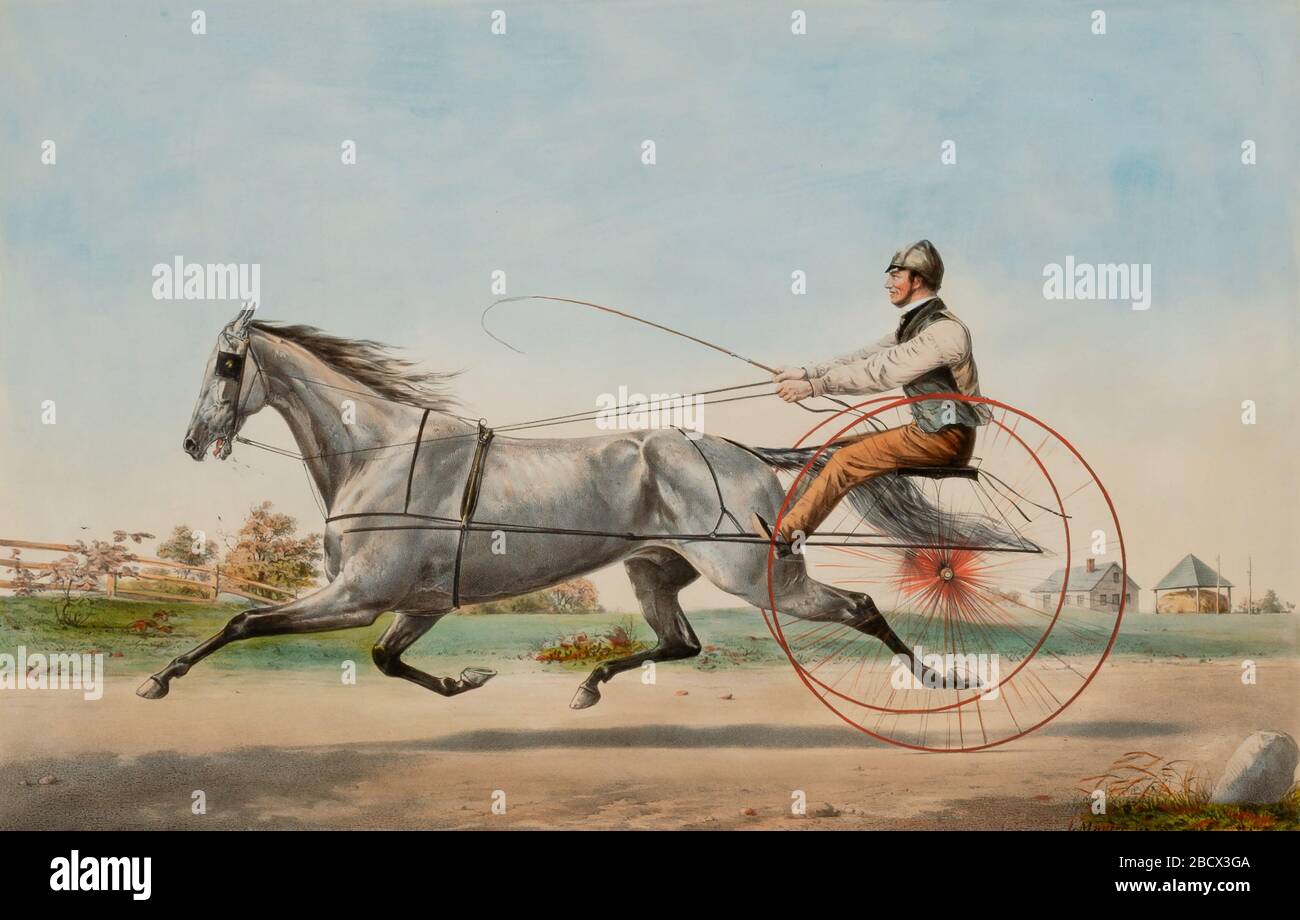 Grauer Eddy. Stockfoto