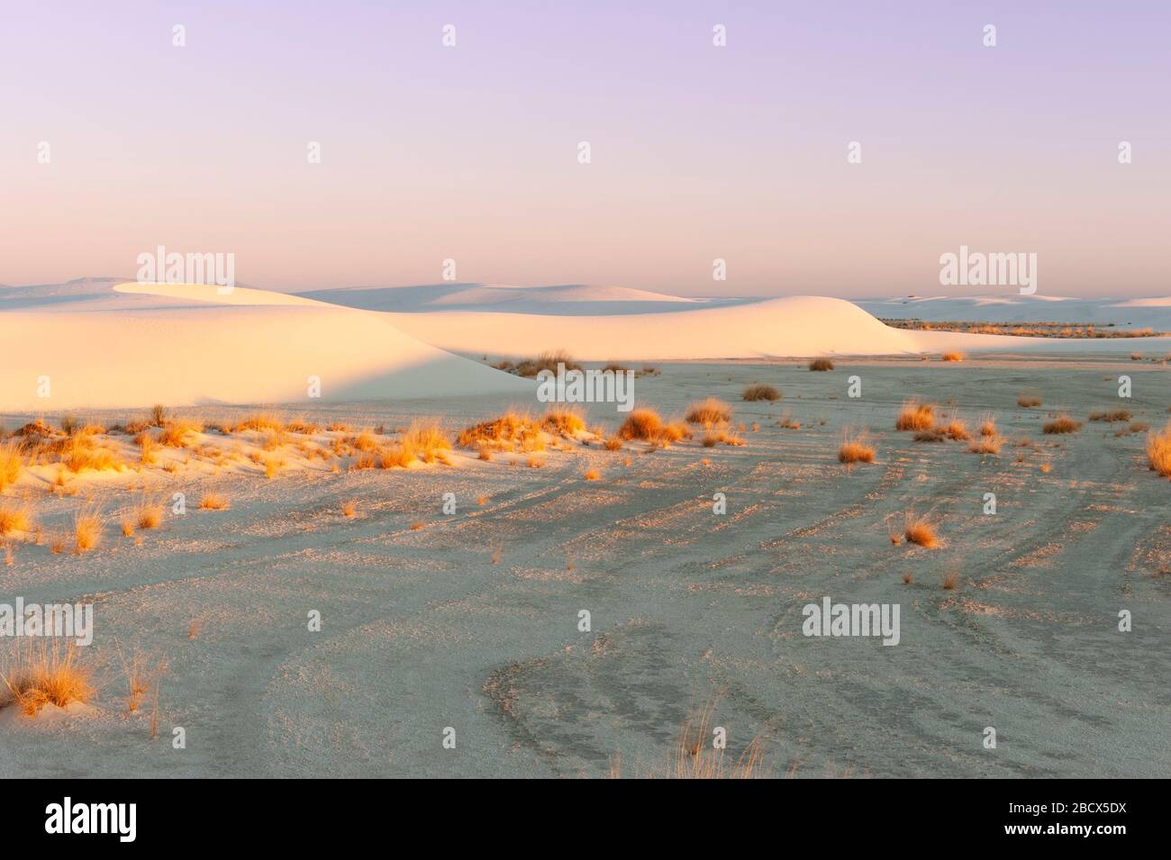 Landschaft in New Mexico, Gipsformationen, Grasland, White Sands National Monument, White Sands National Park, New Mexico, NM, USA. Stockfoto