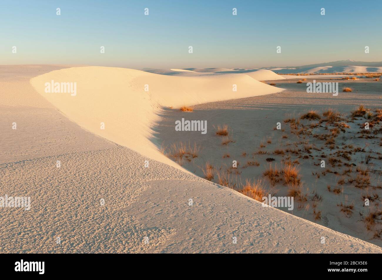 Landschaft in New Mexico, Gipsformationen, Grasland, White Sands National Monument, White Sands National Park, New Mexico, NM, USA. Stockfoto