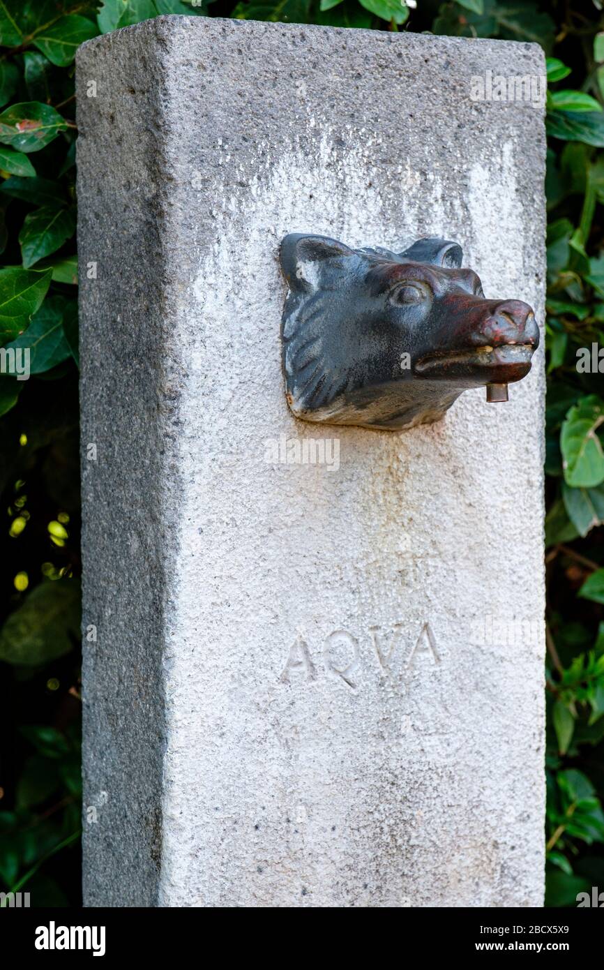 Öffentlicher Wasserbrunnen mit einem Wolfskopf auf dem Palatin, Forum Romanum, Rom, Italien. Stockfoto