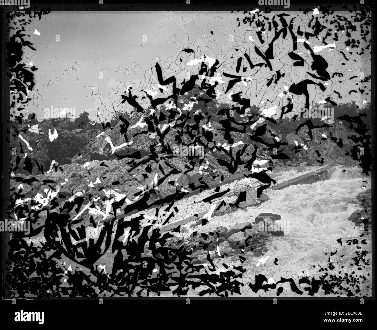 McDonald Fishway. McDonald Fishway (Fischleiter) mit eingeschaltetem Wasser, bei Great Falls des Potomac.Smithsonian Institution Archives, ACC. 11-007, Box 018, Bild-Nr. MNH-4210Smithsonian Institution Archives Capital Gallery, Suite 3000, MRC 507; 600 Maryland Avenue, SW; Washington, DC 20024-2520 MNH-4210 Stockfoto