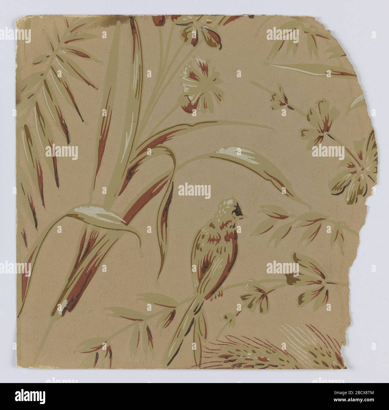 Seitenwandprobe. Forschung in progressFragmentary Tapeten aus Musterbüchern, einschließlich ästhetischer und anglojapanesker Designs.72 Seiten mit Proben. Seitenwandprobe Stockfoto