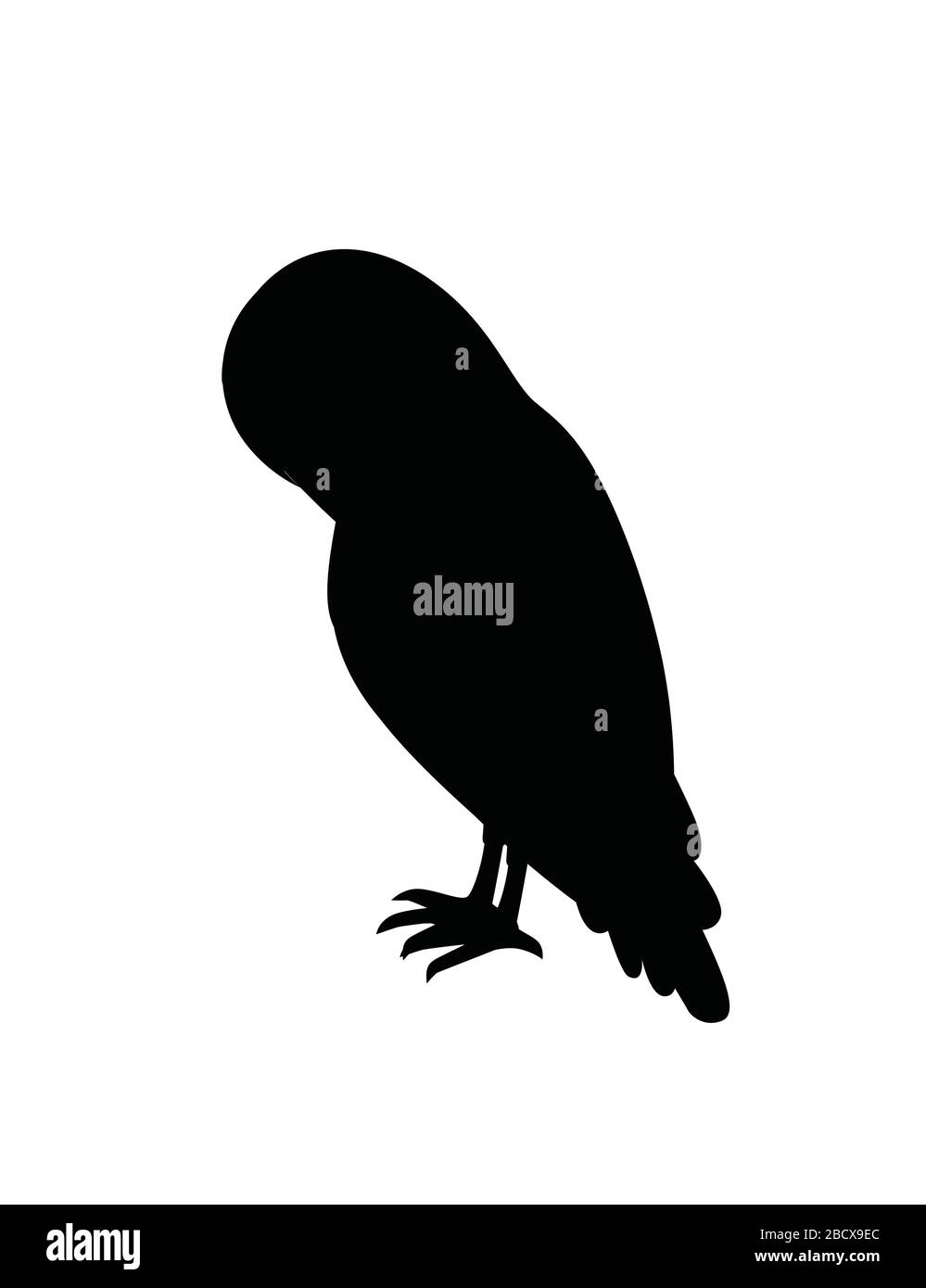 Schwarze Silhouette niedliche Scheune Eule (Tyto alba) Cartoon Wildwald Vogel Tier Design flache Vektorgrafiken isoliert auf weißem Hintergrund Stock Vektor